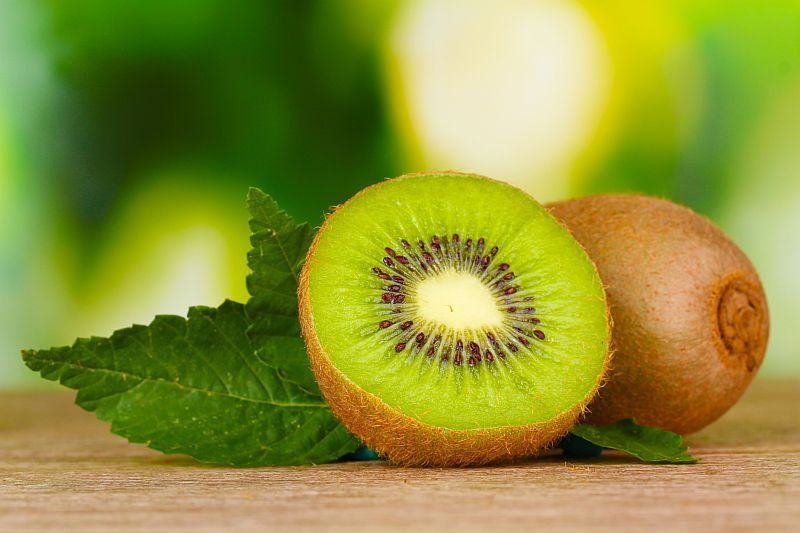Kiwi Actinidia deliciosa Solo, ghiveci 1L