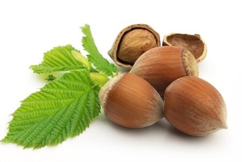 Alun Catalan, ghiveci 1L