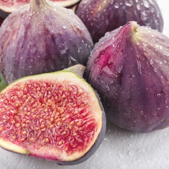 VIOLET DAUPHINE Smochin Ficus carica Violette Dauphine, ghiveci 2L